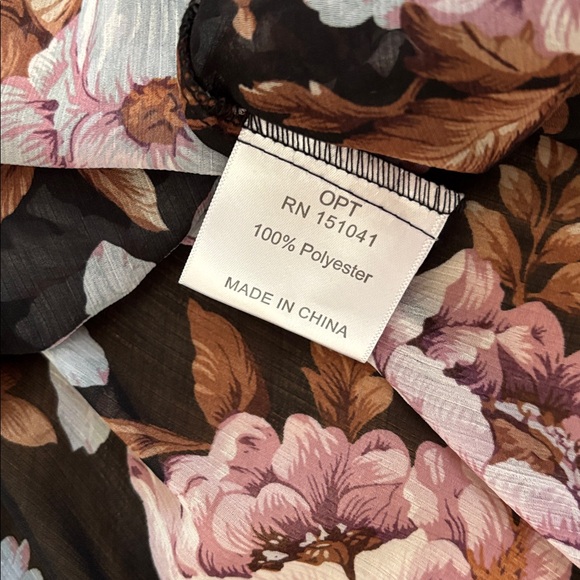 Sheer Ruffled Blouse - Picture 10 of 11